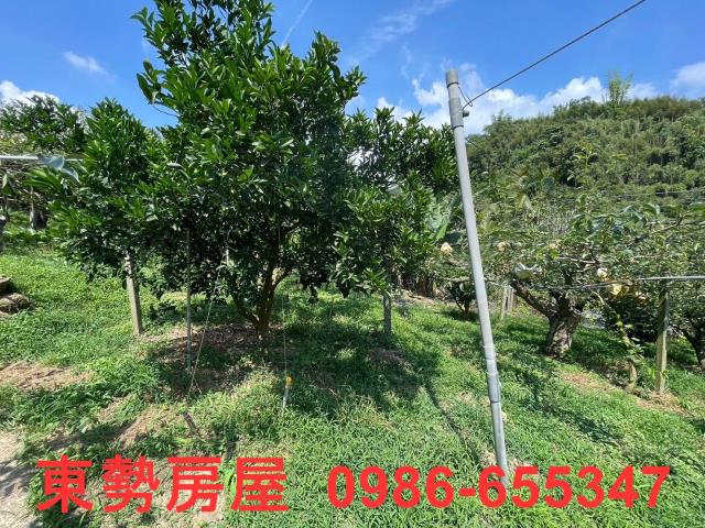 台中東勢農地-11