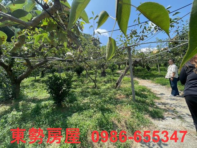 台中東勢農地-12