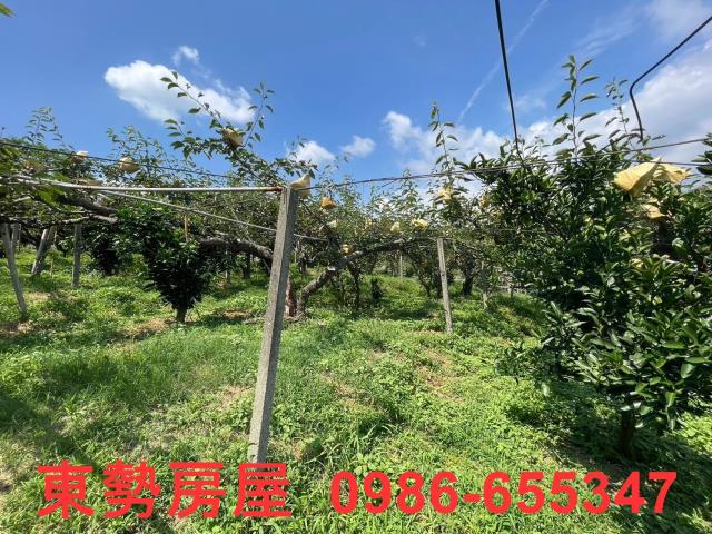 台中東勢農地-13