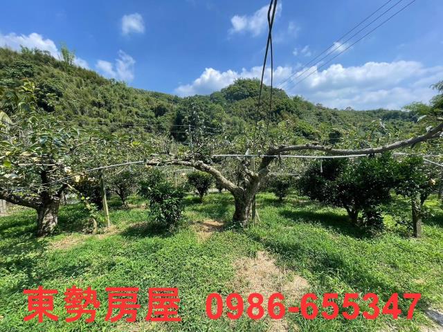 台中東勢農地-1
