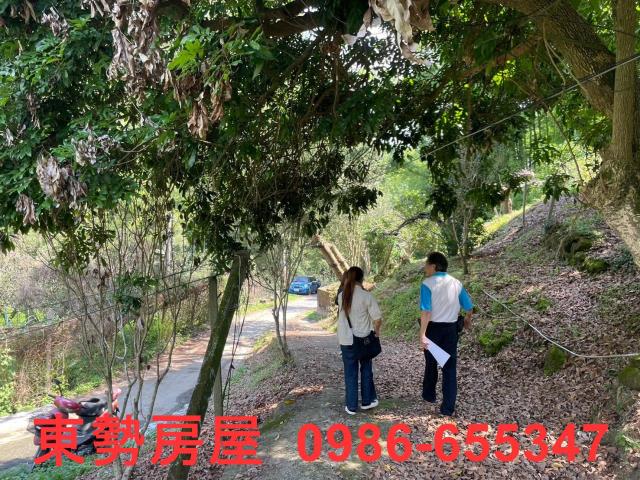 台中東勢農地-15