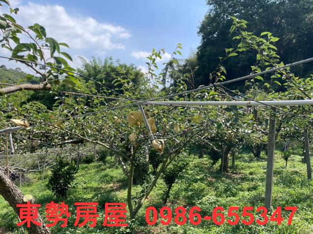 台中東勢農地-2