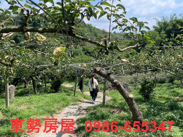 台中東勢農地-3