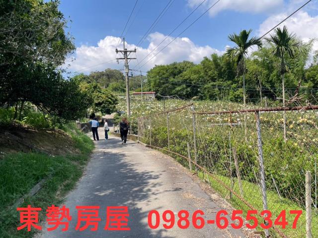 台中東勢農地-4