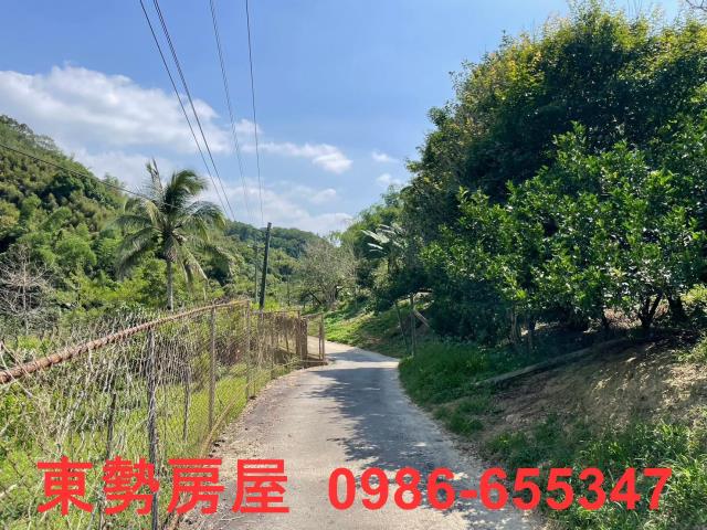 台中東勢農地-5