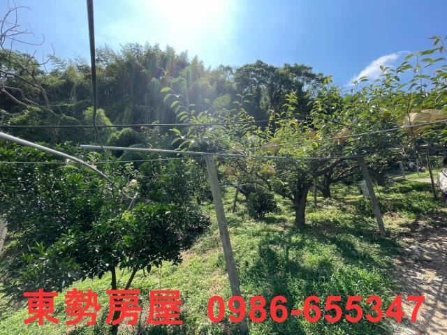 台中東勢農地-6
