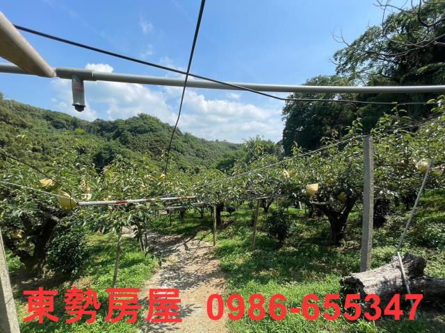 台中東勢農地-7