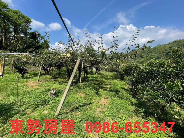 台中東勢農地-8