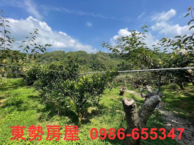 台中東勢農地-9