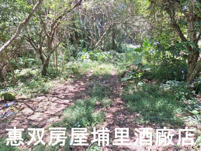 魚池農地-6
