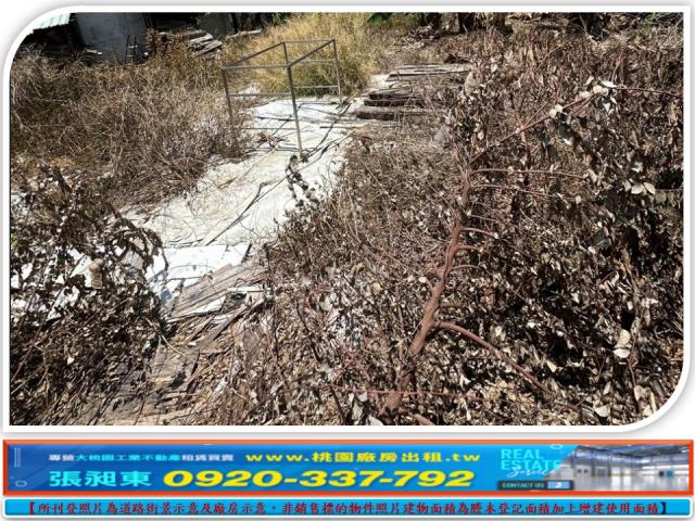 桃園蘆竹工業地-7