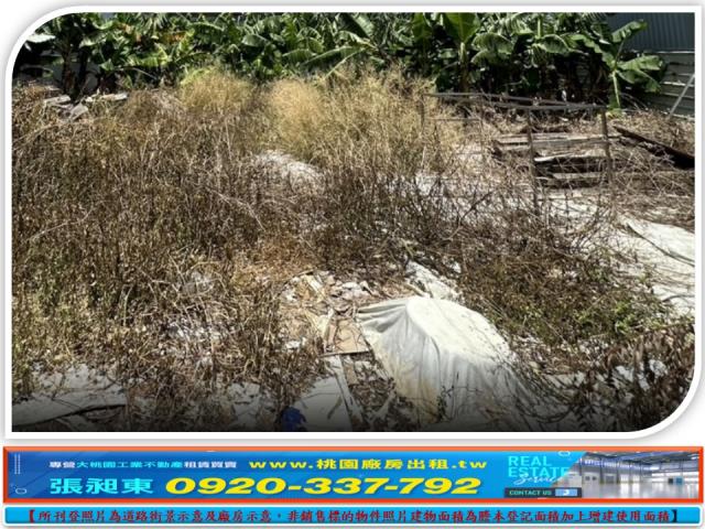 桃園蘆竹工業地-2