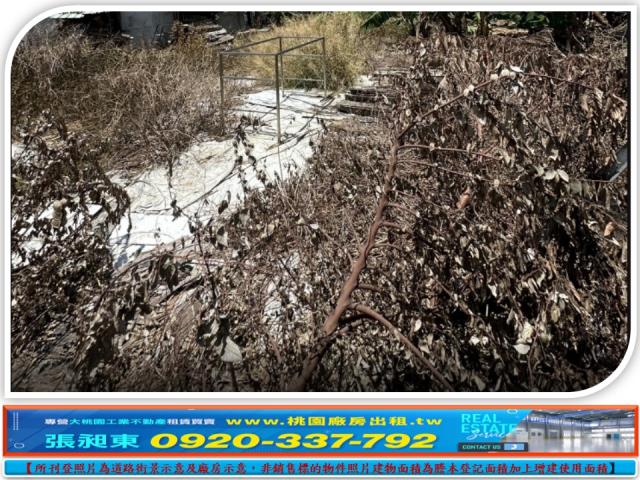 桃園蘆竹工業地-3