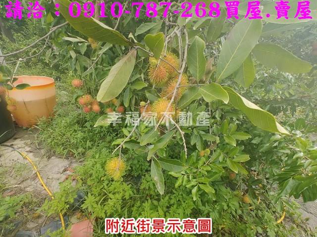 台南農地-10