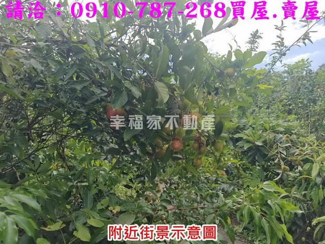 台南農地-15
