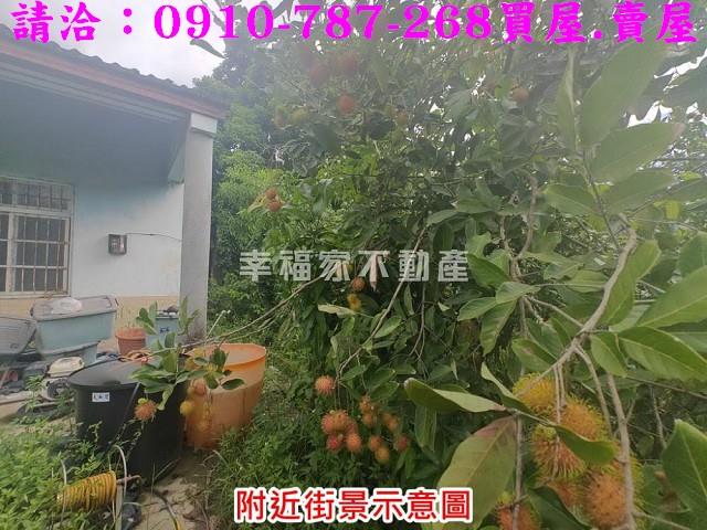 台南農地-6