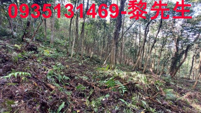 苗栗農地-11