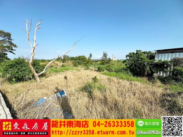 台中農地-2