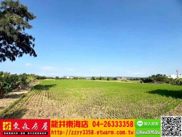 台中農地-2