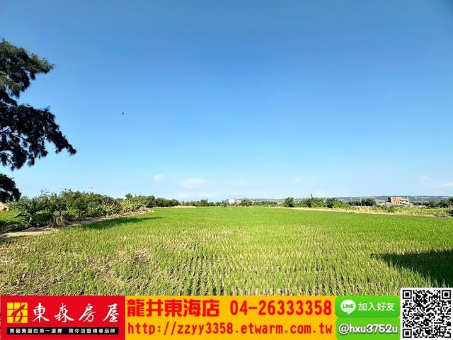 台中農地-3