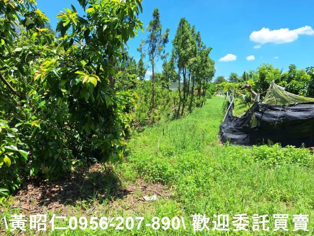 台南山上農地-2