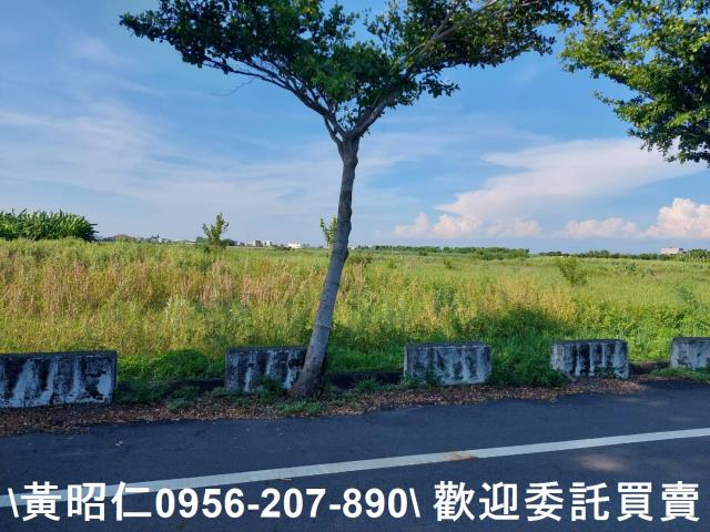 台南七股農地-3