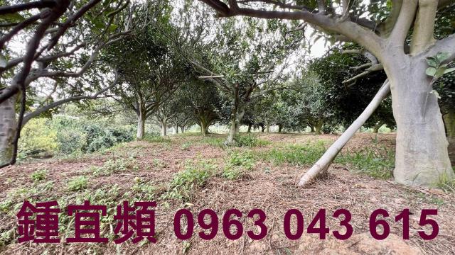 新竹峨眉農地-11