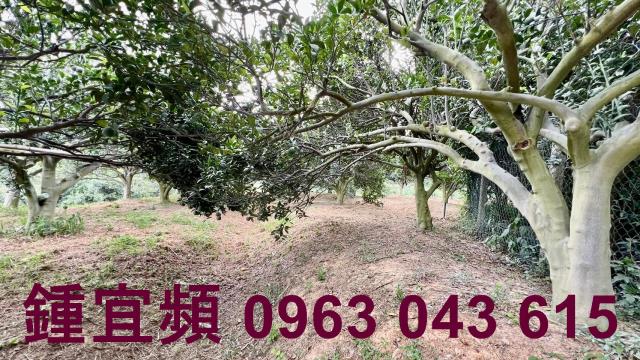 新竹峨眉農地-12
