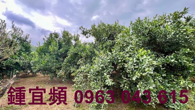新竹峨眉農地-5