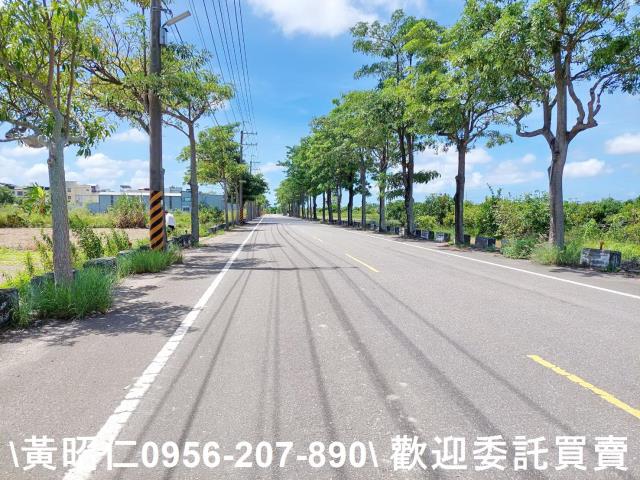 台南佳里農地-10