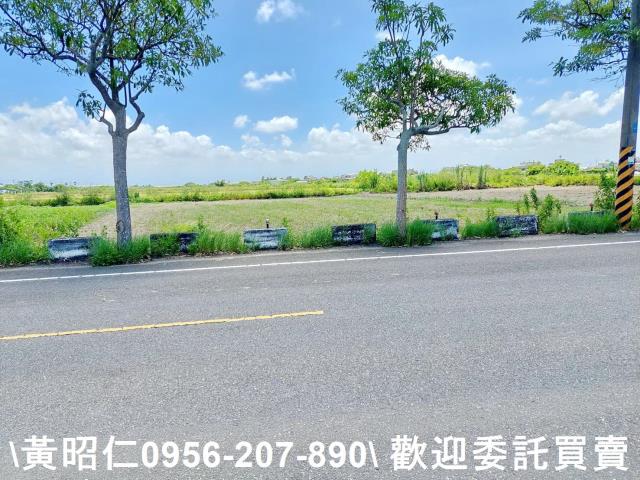 台南佳里農地-8