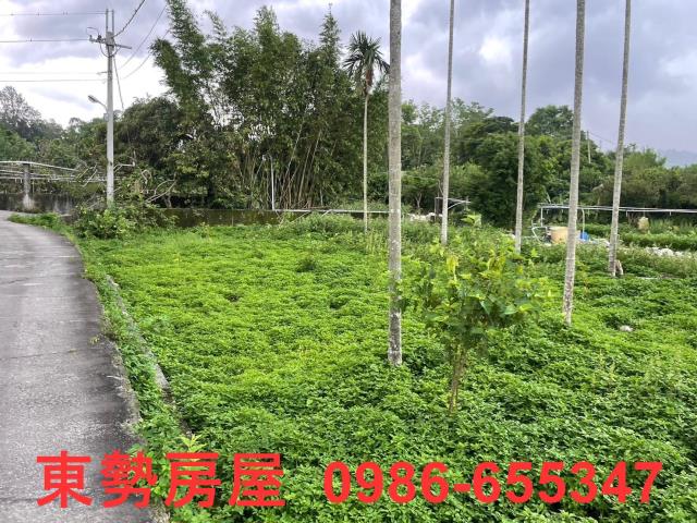 東勢農地-11
