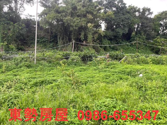 東勢農地-13