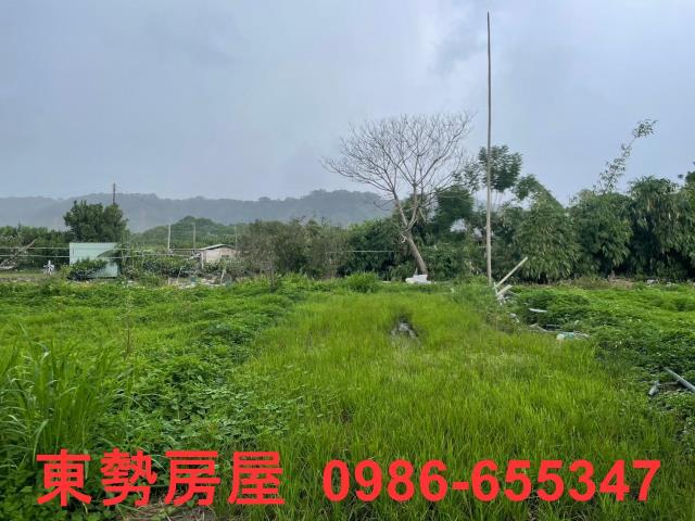 東勢農地-5