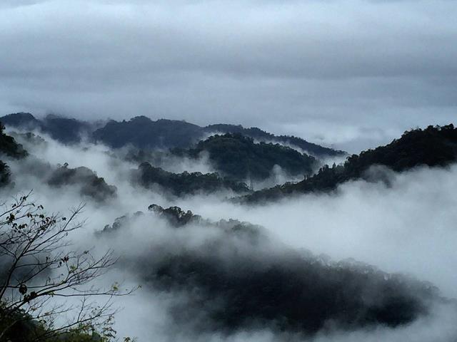 台中農地-6