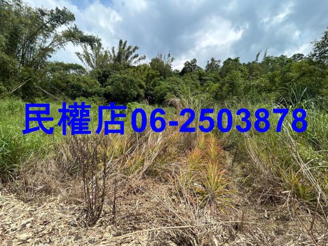 台南關廟農地-1