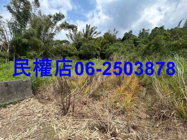 台南關廟農地-4