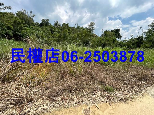 台南關廟農地-5