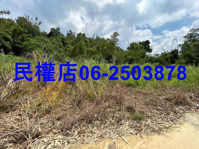 台南關廟農地-6