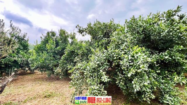 新竹峨眉農地-7