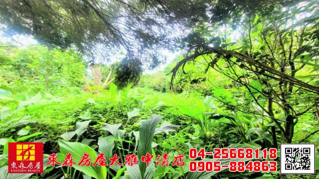 台中新社農地-13