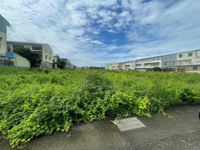 嘉義民雄農地-2
