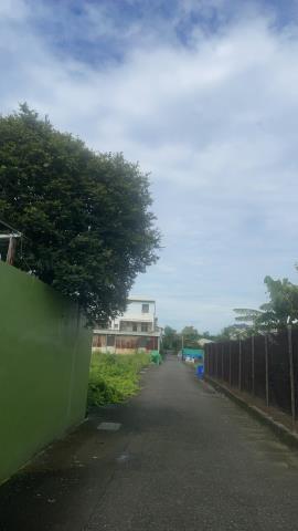 嘉義民雄農地-3