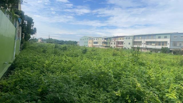 嘉義民雄農地-4