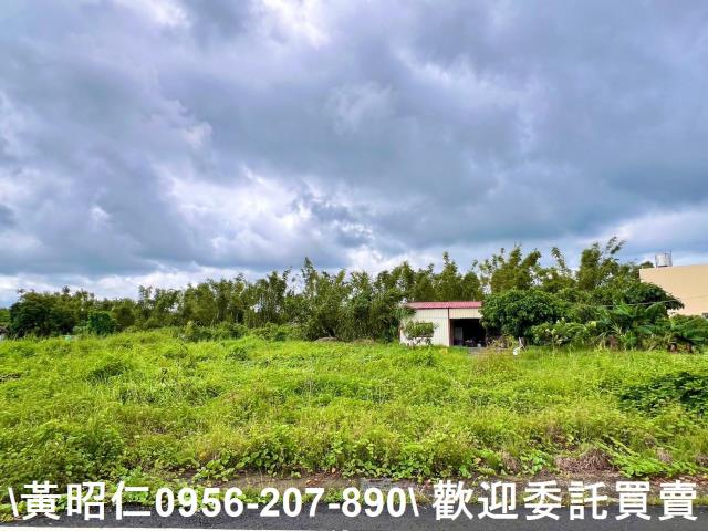 台南關廟農地-5