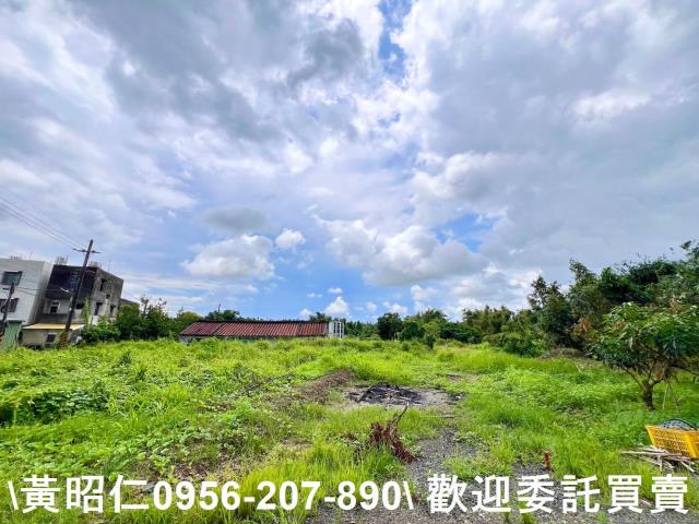 台南關廟農地-8