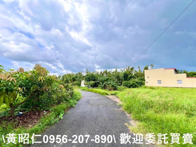 台南關廟農地-9