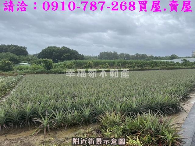 台南山上農地-11