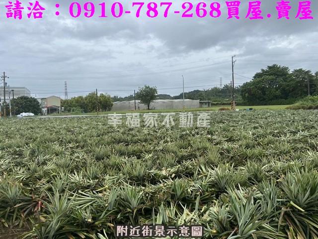 台南山上農地-2