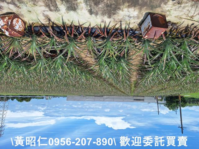 山上農地-1